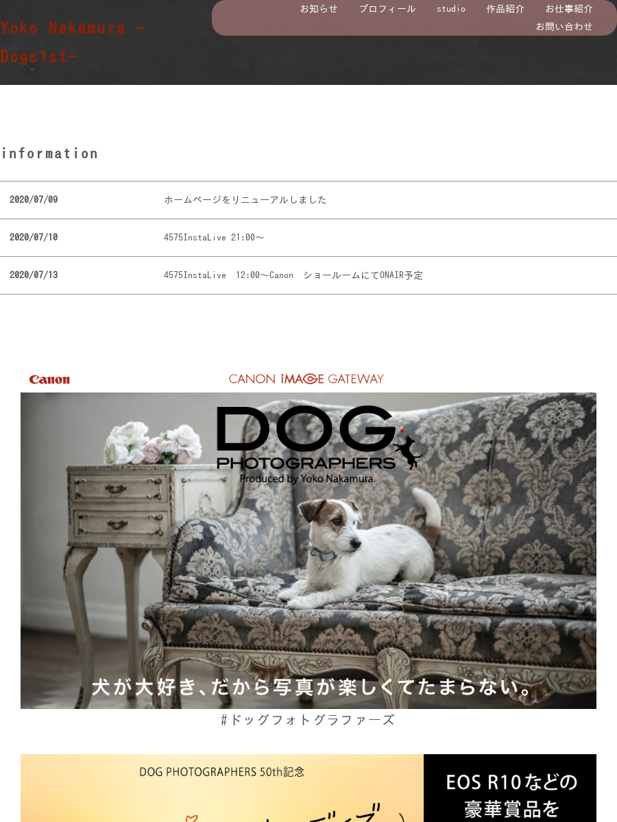 studio | Yoko Nakamura -Dogs1st-